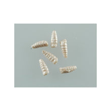 Load image into Gallery viewer, Berkley Gulp Alive Waxies