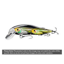 Load image into Gallery viewer, Koppers Live Target Baitball