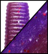 Load image into Gallery viewer, Yamamoto Senko 5"