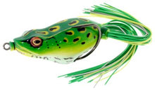 Load image into Gallery viewer, River2Sea Bully Wa 65 II