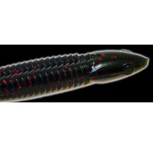 Load image into Gallery viewer, Reaction Innovation Skinny Dipper