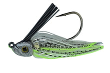 Load image into Gallery viewer, Picasso Swim Jig