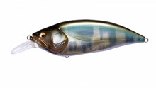 Load image into Gallery viewer, Megabass Big-M 4.0