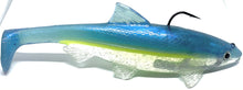 Load image into Gallery viewer, Jerry Rago BV3D Swimbait 7&quot; Top Hook

