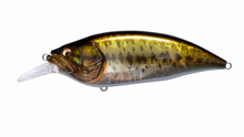 Load image into Gallery viewer, Megabass Big-M 4.0