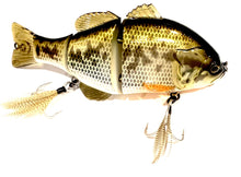 Load image into Gallery viewer, Jackall Gantarel Jr.