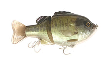 Load image into Gallery viewer, Deps Bullshooter 160