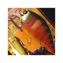 Load image into Gallery viewer, Lucky Craft LC 2.5