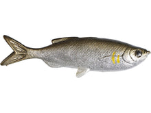 Load image into Gallery viewer, Huddleston Grass Minnow