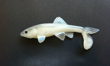 Load image into Gallery viewer, Little Creeper Baits Trash Fish 6"