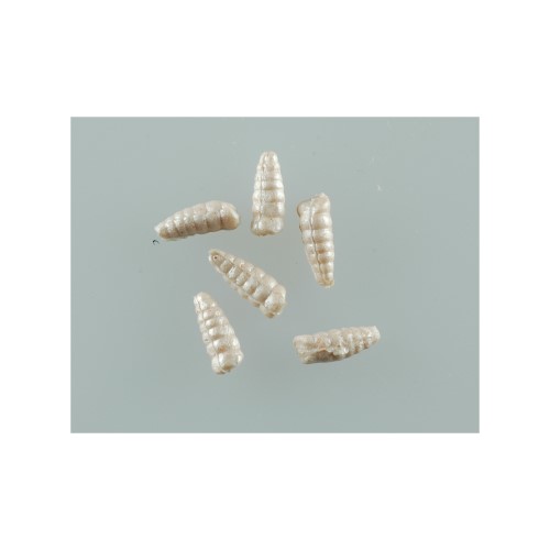 Berkley Gulp Alive Waxies