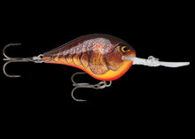 Load image into Gallery viewer, Rapala DT16
