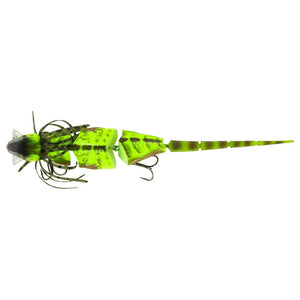 ChaseBaits Frill Seeker