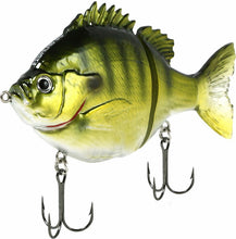 Load image into Gallery viewer, Fishlab
