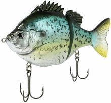 Load image into Gallery viewer, Fishlab
