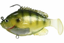 Load image into Gallery viewer, Fishlab

