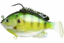 Load image into Gallery viewer, Fishlab

