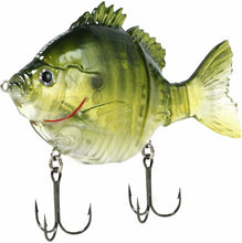 Load image into Gallery viewer, Fishlab
