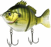 Load image into Gallery viewer, Fishlab
