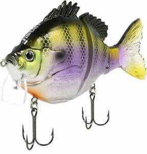 Fishlab 5 1/2"
