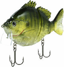 Load image into Gallery viewer, Fishlab
