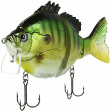 Load image into Gallery viewer, Fishlab
