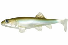 Load image into Gallery viewer, Fishlab
