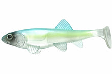 Load image into Gallery viewer, Fishlab
