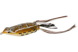 Zoom Hollow Belly Frog