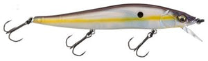 Megabass Vision Oneten