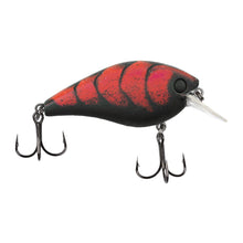 Load image into Gallery viewer, Catch Co-Bubonic Bugz Squarebill
