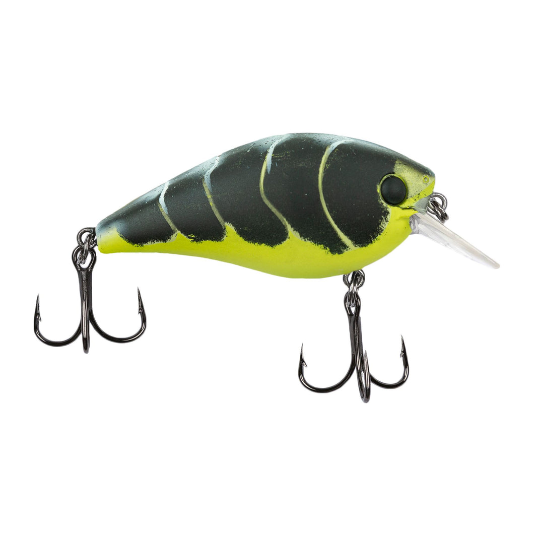 Catch Co-Bubonic Bugz Squarebill