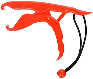 The Fish Grip