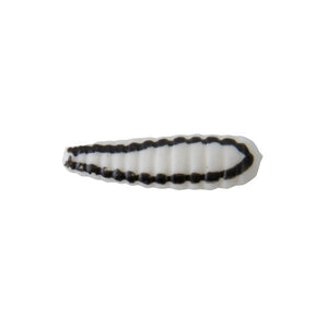 Johnson Beetle Spin