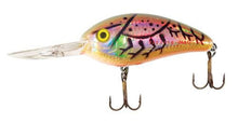 Load image into Gallery viewer, Bomber Fat Free Shad Jr.8-14ft

