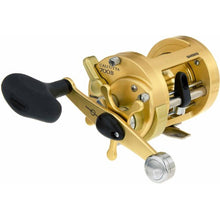 Load image into Gallery viewer, Shimano - Calcutta
