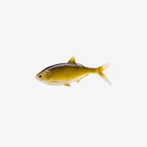 CB Coalition Baits