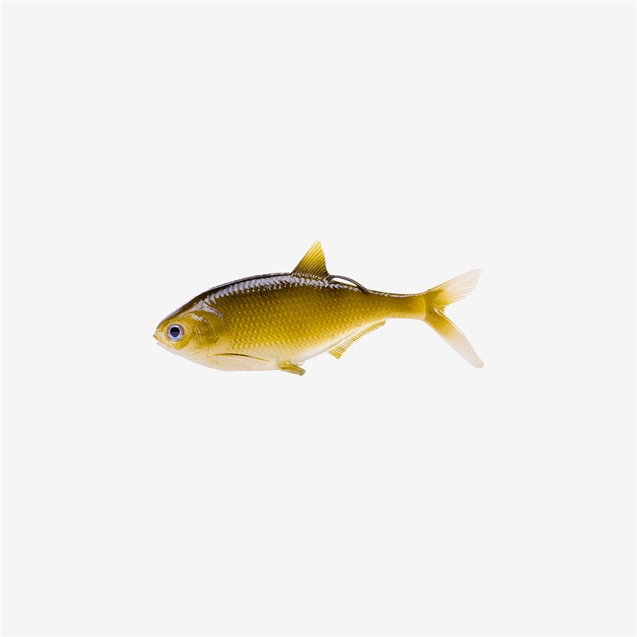 CB Coalition Baits