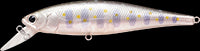 Lucky Craft Pointer 100 SP