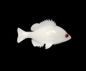 Huddleston Tophook Bluegill