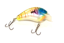 Load image into Gallery viewer, PH Custom Lures Huntin P 3-5 FT
