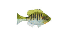 Load image into Gallery viewer, Sudden Impact Suzygill Bluegill
