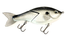 Load image into Gallery viewer, Jerry Rago Glide Gill
