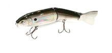 Load image into Gallery viewer, Jerry Rago Baits Cha Cha Glide 5”
