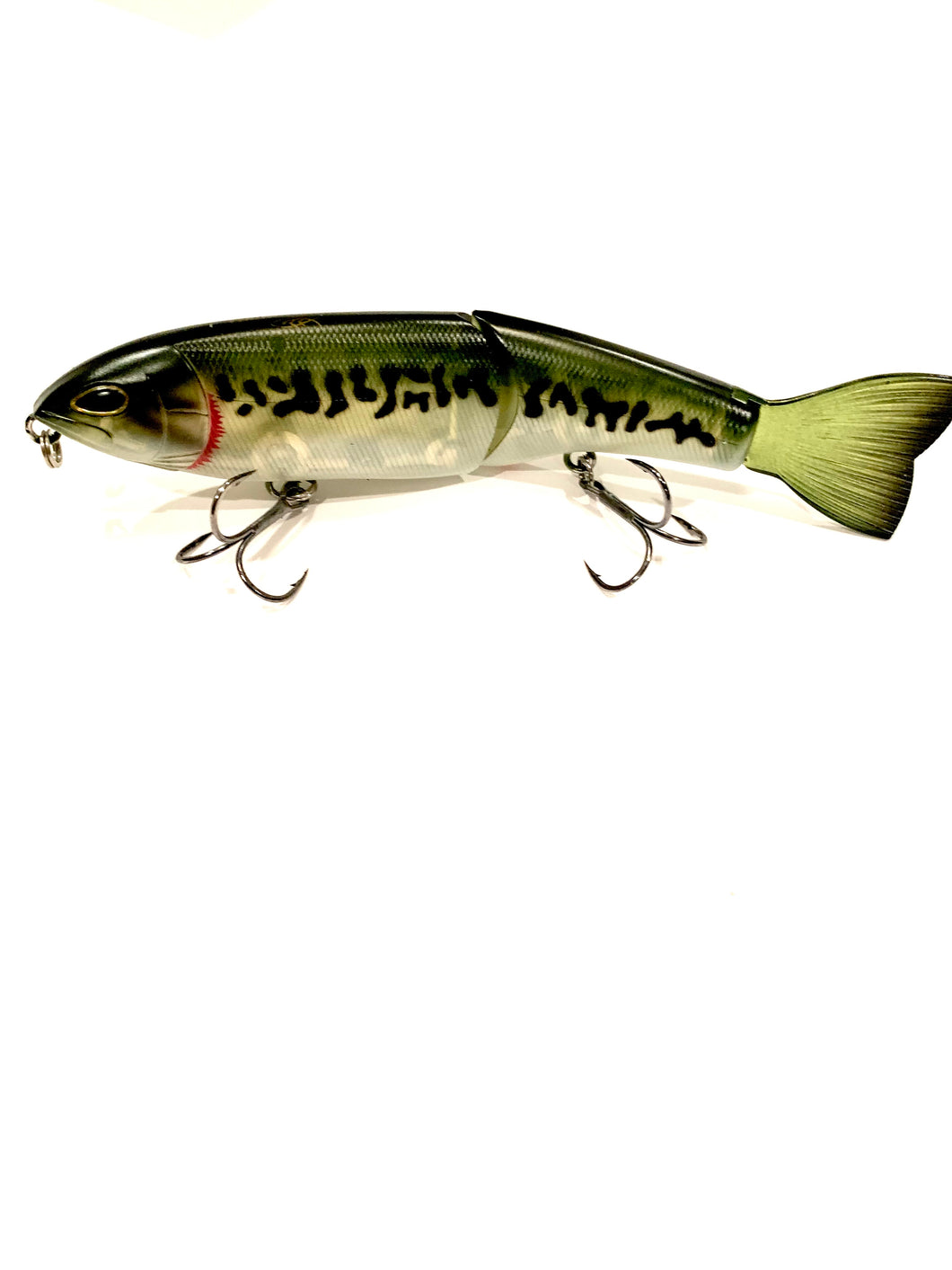 Jerry Rago Baits Cha Cha Glide 5”