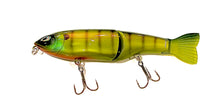 Load image into Gallery viewer, Jerry Rago Baits Cha Cha Glide 5”
