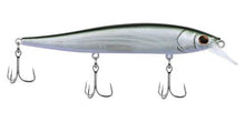 Load image into Gallery viewer, Berkley Stunna Jerkbait 112
