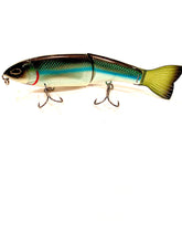 Load image into Gallery viewer, Jerry Rago Baits Cha Cha Glide 5”
