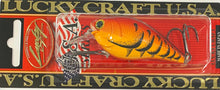 Load image into Gallery viewer, Lucky Craft LC 2.0 RT
