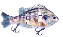 Load image into Gallery viewer, Got&#39;Em Coach Swimbait Real Gill
